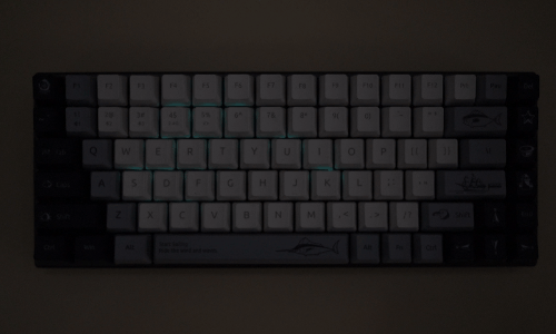 柏MT510PRO多模无线机械键盘 使用报告九游会网站用惯了段落轴来个快银轴感受一下：雷(图2)